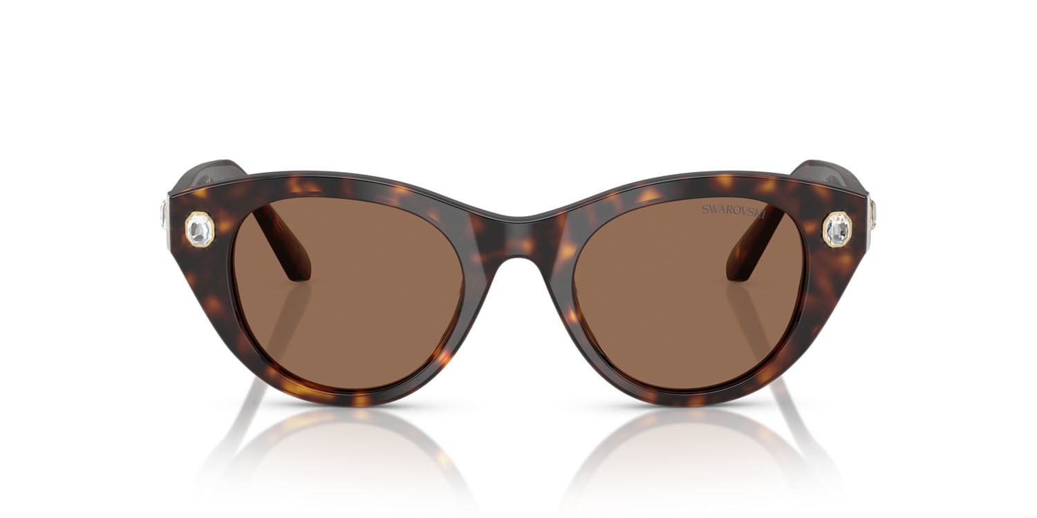 Sunglasses Swarovski SK 6025 (100273) color havana shape round lenses marrone scuro