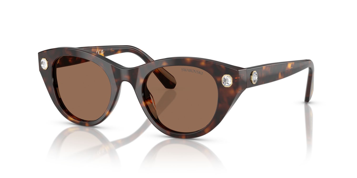 Sunglasses Swarovski SK 6025 (100273) color havana shape round lenses marrone scuro