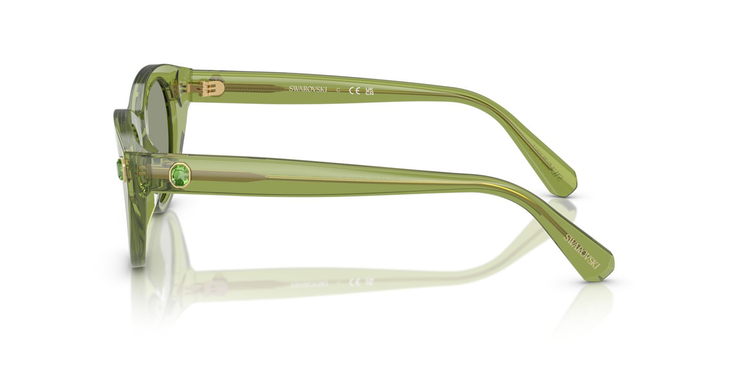 Sunglasses Swarovski SK 6025 (3002/2) color verde trasparente shape round lenses verde