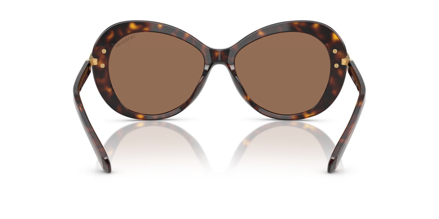 Sunglasses Swarovski SK 6026 (100273) color havana shape butterfly lenses marrone scuro