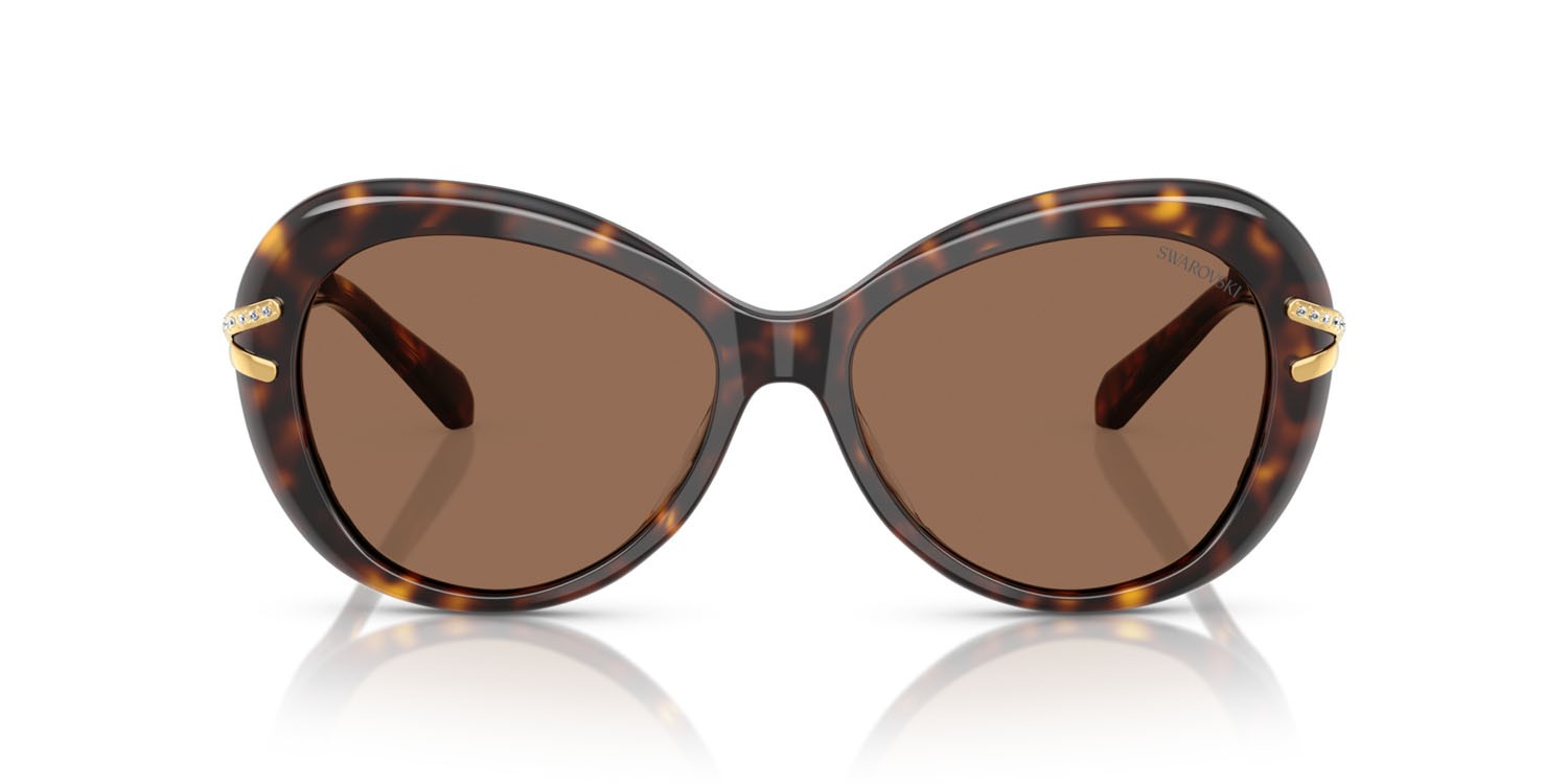 Sunglasses Swarovski SK 6026 (100273) color havana shape butterfly lenses marrone scuro