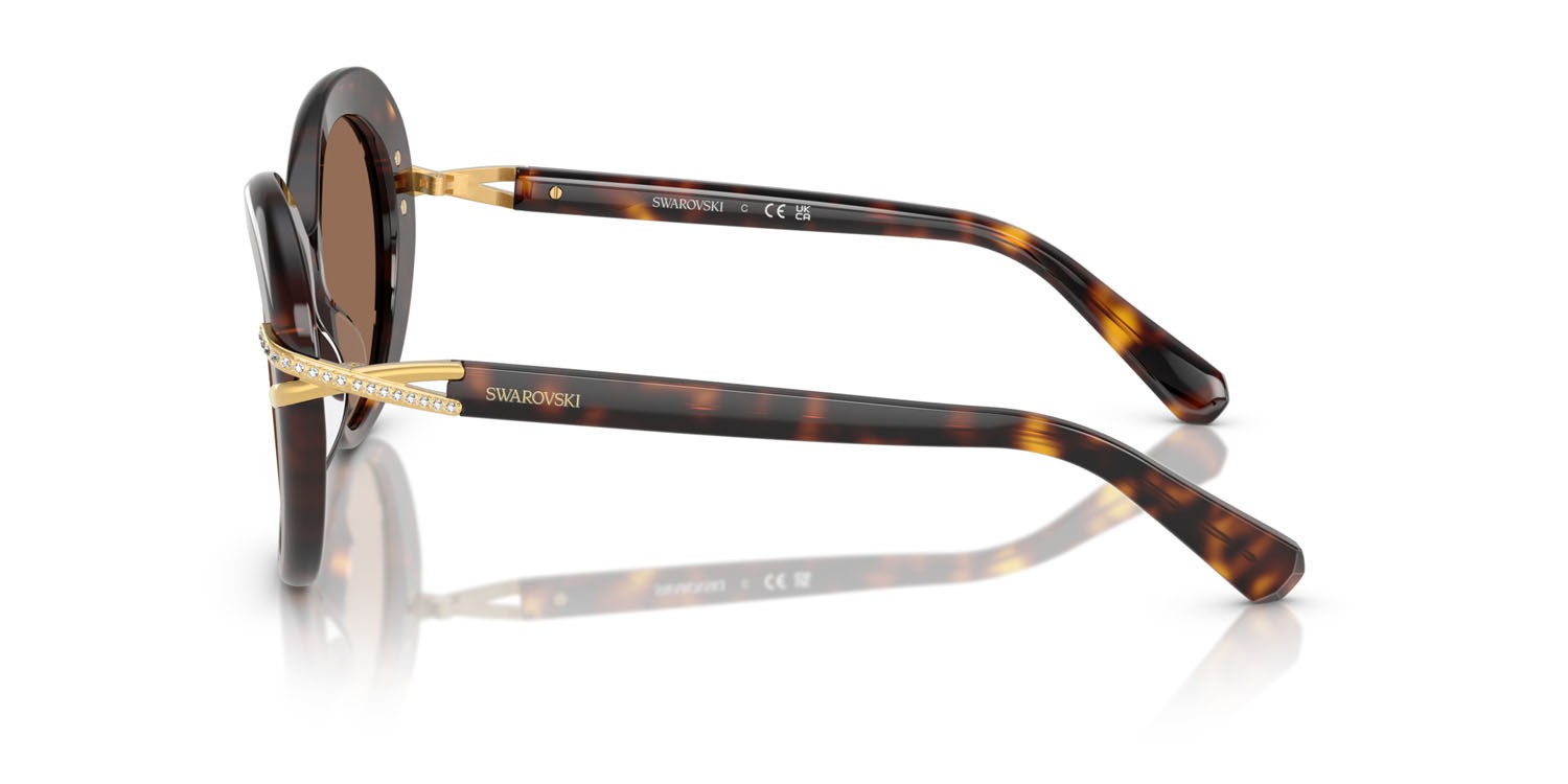 Sunglasses Swarovski SK 6026 (100273) color havana shape butterfly lenses marrone scuro