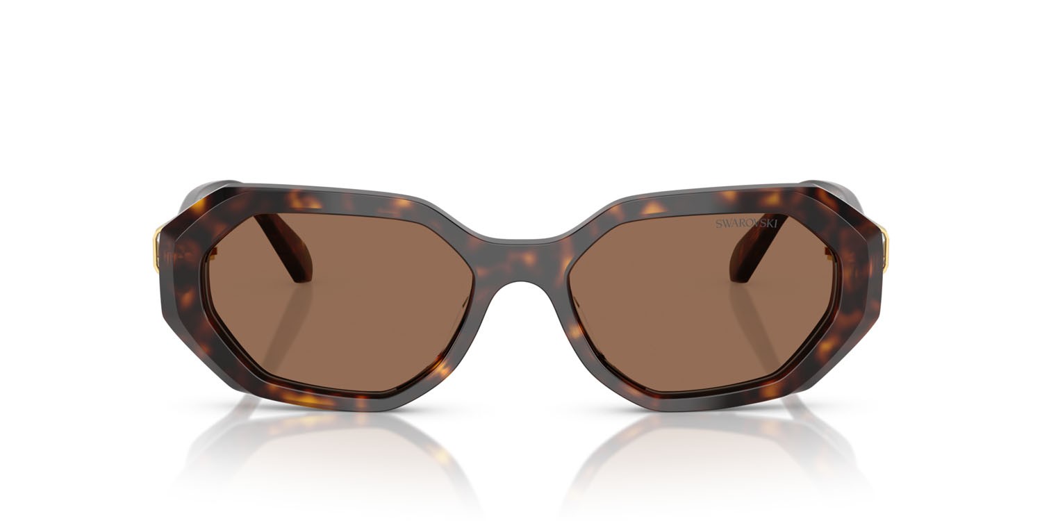 Sunglasses Swarovski SK 6028 (100273) color havana scuro shape irregular lenses marrone scuro