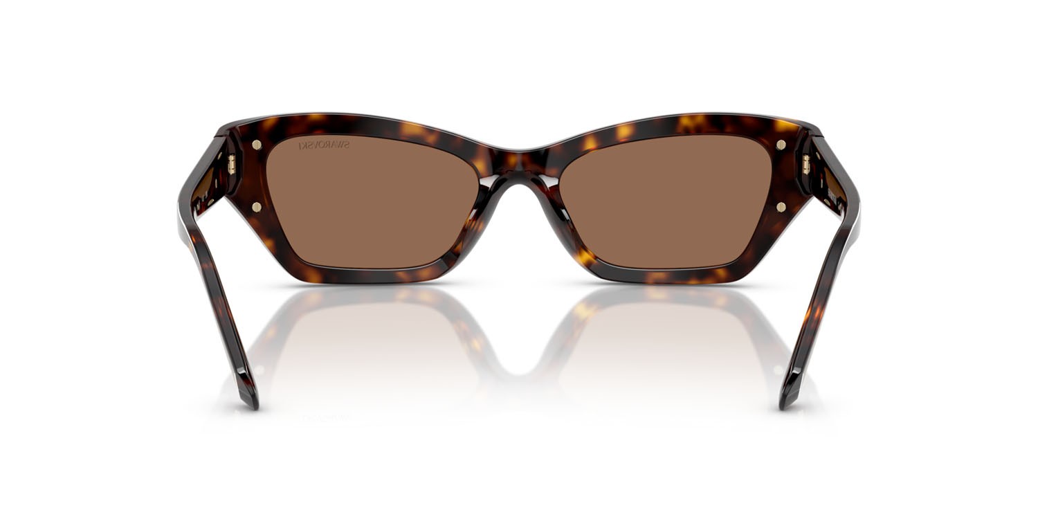 Sunglasses Swarovski SK 6029 (100273) color havana scuro shape cat eye lenses marrone scuro