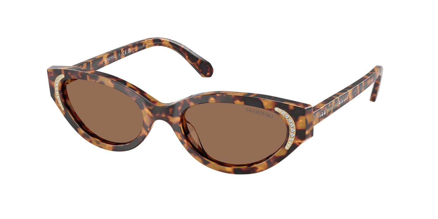 Sunglasses Swarovski SK 6030 (104073) color havana medio shape round lenses marrone scuro