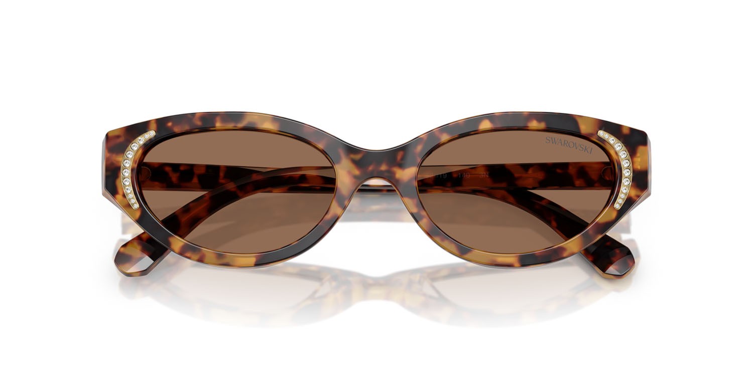 Sunglasses Swarovski SK 6030 (104073) color havana medio shape round lenses marrone scuro