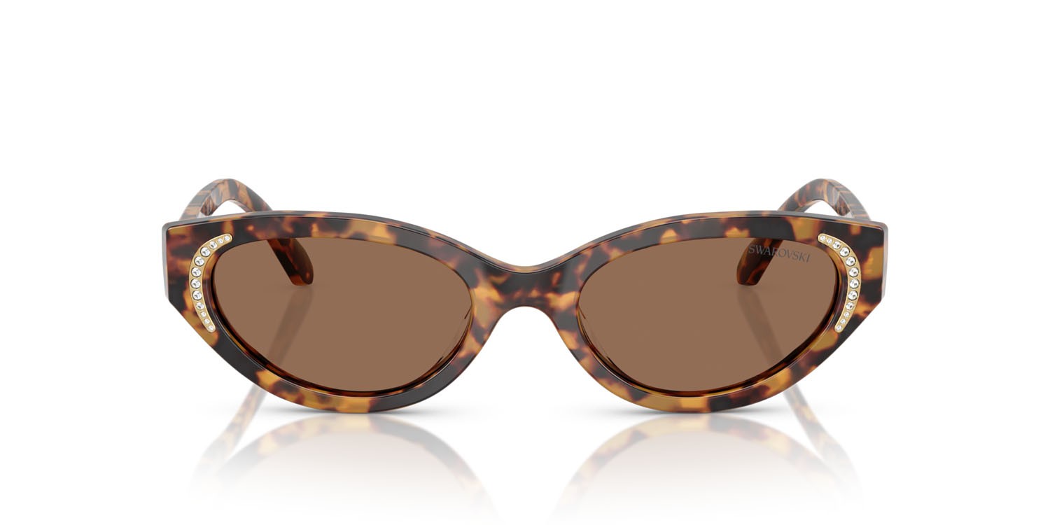 Sunglasses Swarovski SK 6030 (104073) color havana medio shape round lenses marrone scuro