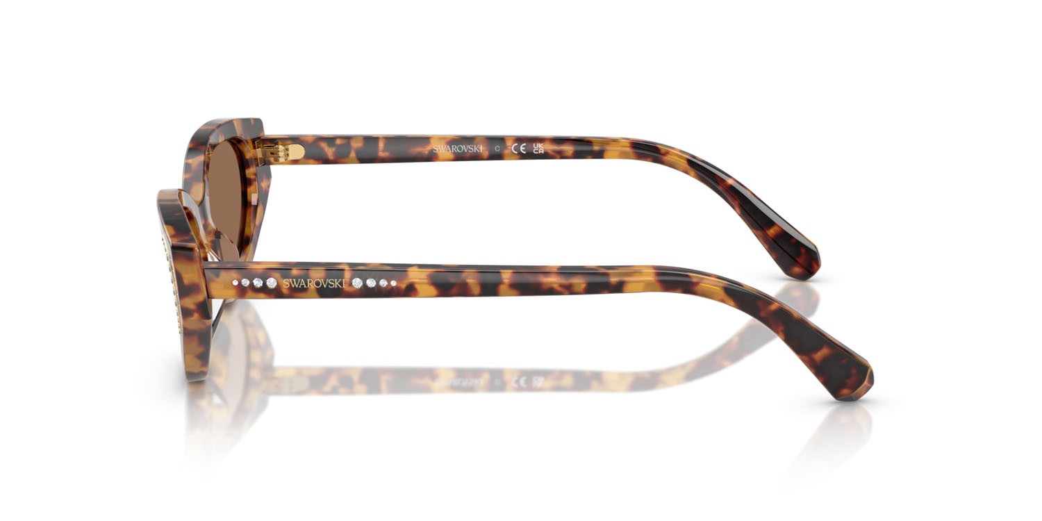 Sunglasses Swarovski SK 6030 (104073) color havana medio shape round lenses marrone scuro
