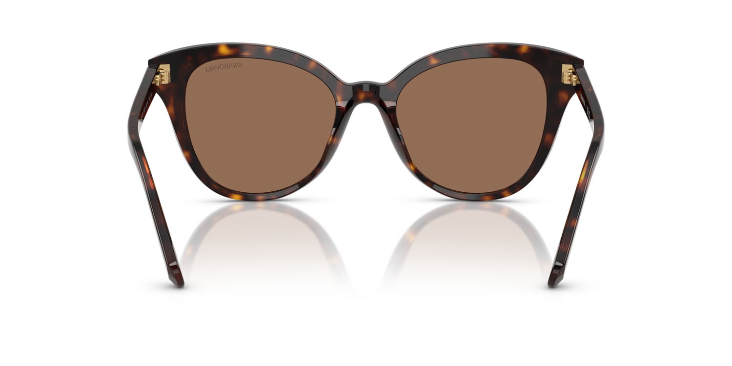Sunglasses Swarovski SK 6031 (100273) color havana scuro shape butterfly lenses marrone scuro