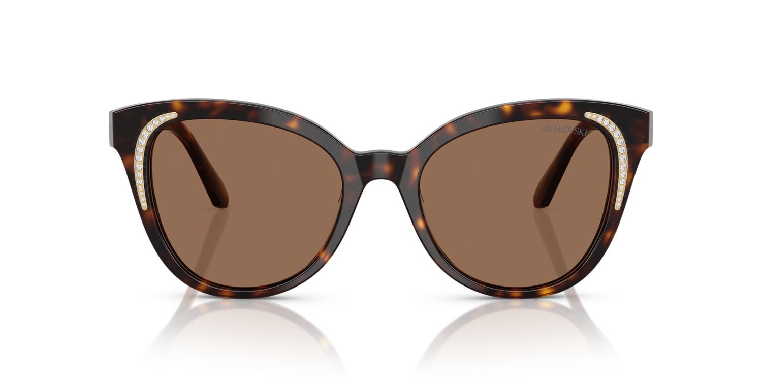 Sunglasses Swarovski SK 6031 (100273) color havana scuro shape butterfly lenses marrone scuro