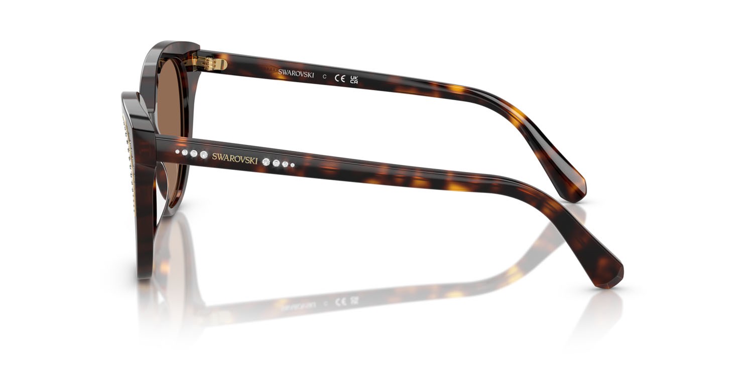 Sunglasses Swarovski SK 6031 (100273) color havana scuro shape butterfly lenses marrone scuro