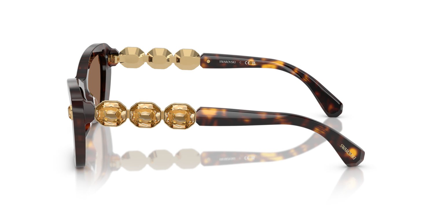 Sunglasses Swarovski SK 6033 (100273) color havana shape irregular lenses marrone scuro