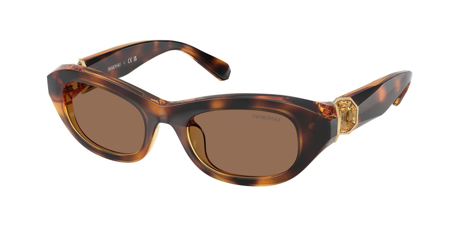 Sunglasses Swarovski SK 6036U (100273) color havana shape square lenses marrone scuro