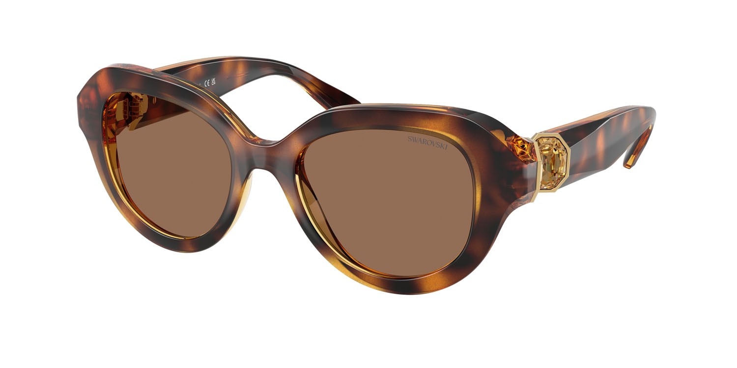 Sunglasses Swarovski SK 6037 (100273) color havana shape round lenses marrone scuro