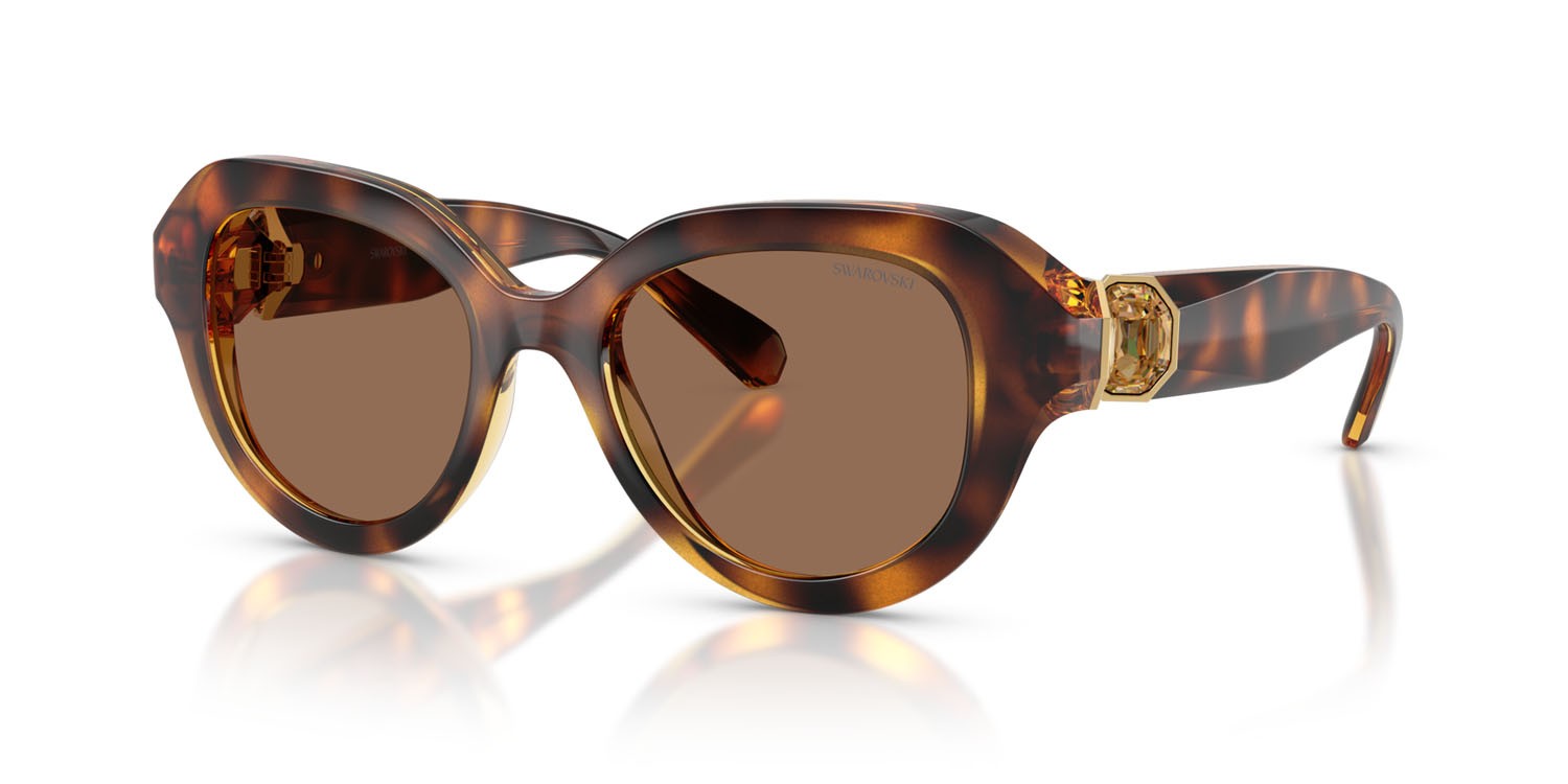 Sunglasses Swarovski SK 6037 (100273) color havana shape round lenses marrone scuro