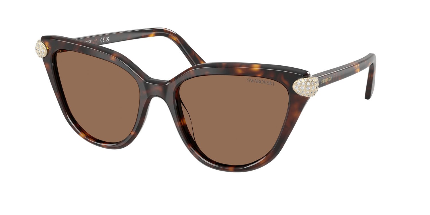 Sunglasses Swarovski SK 6039 (100273) color havana shape cat eye lenses marrone scuro