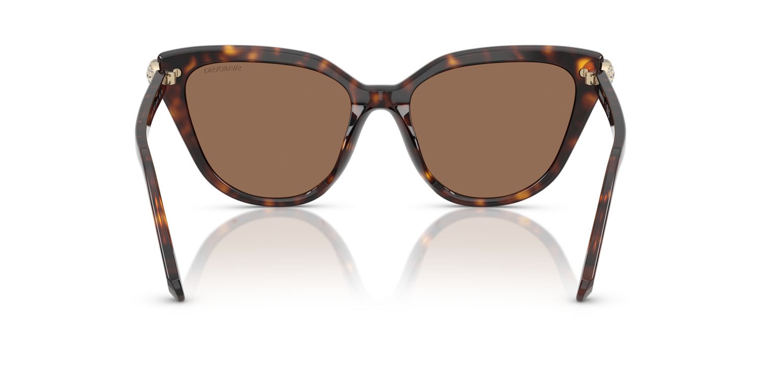 Sunglasses Swarovski SK 6039 (100273) color havana shape cat eye lenses marrone scuro