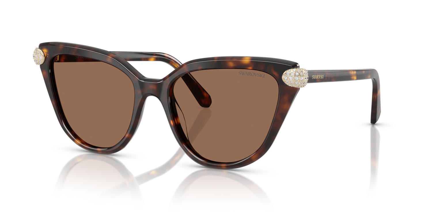 Sunglasses Swarovski SK 6039 (100273) color havana shape cat eye lenses marrone scuro