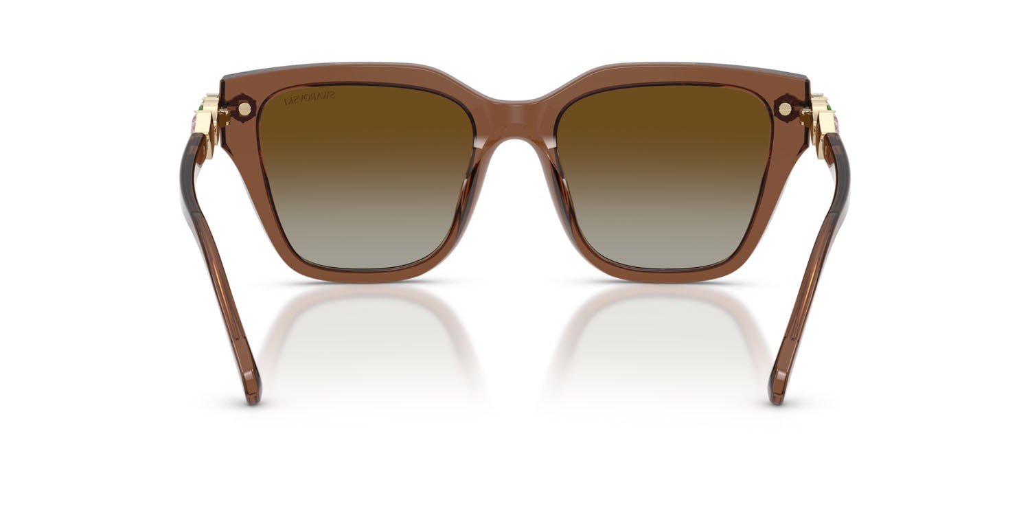 Sunglasses Swarovski SK 6041 (1067T5) color marrone trasparente shape irregular lenses polarizzata marrone sfumato