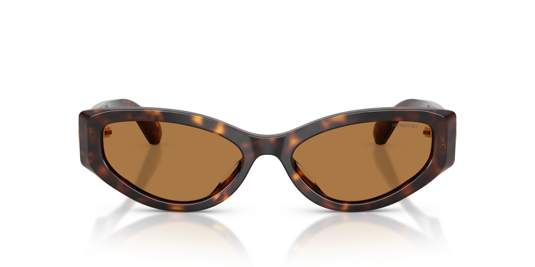Sunglasses Swarovski SK 6045U (100273) color havana shape cat eye lenses bronzo