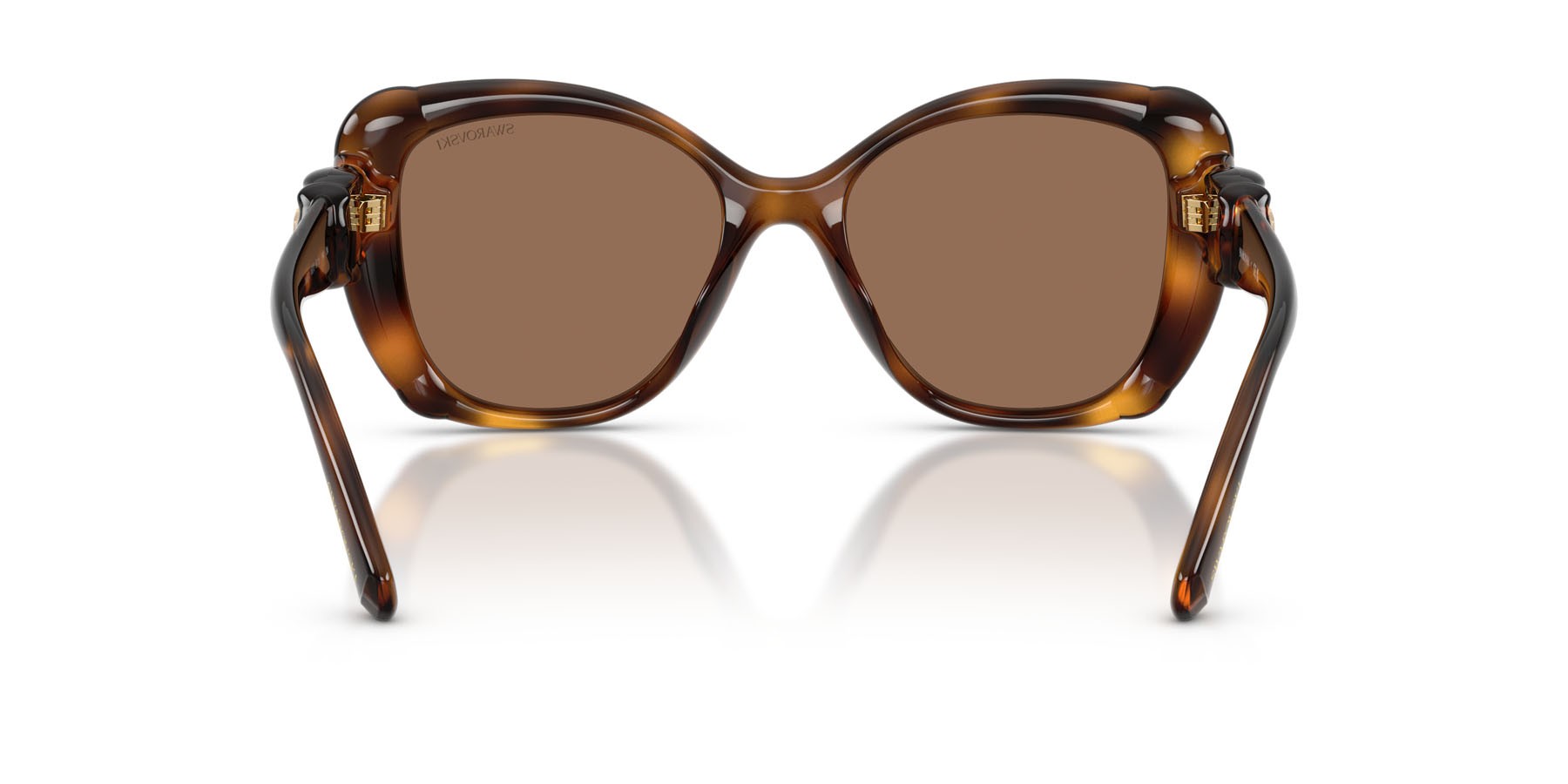 Sunglasses Swarovski SK 6051U (100273) color havana shape butterfly lenses marrone scuro