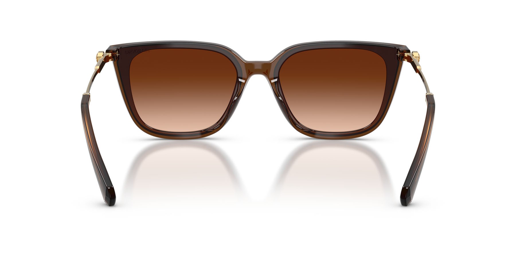 Sunglasses Swarovski SK 6054D (108474) color marrone trasparente shape square lenses marrone sfumato