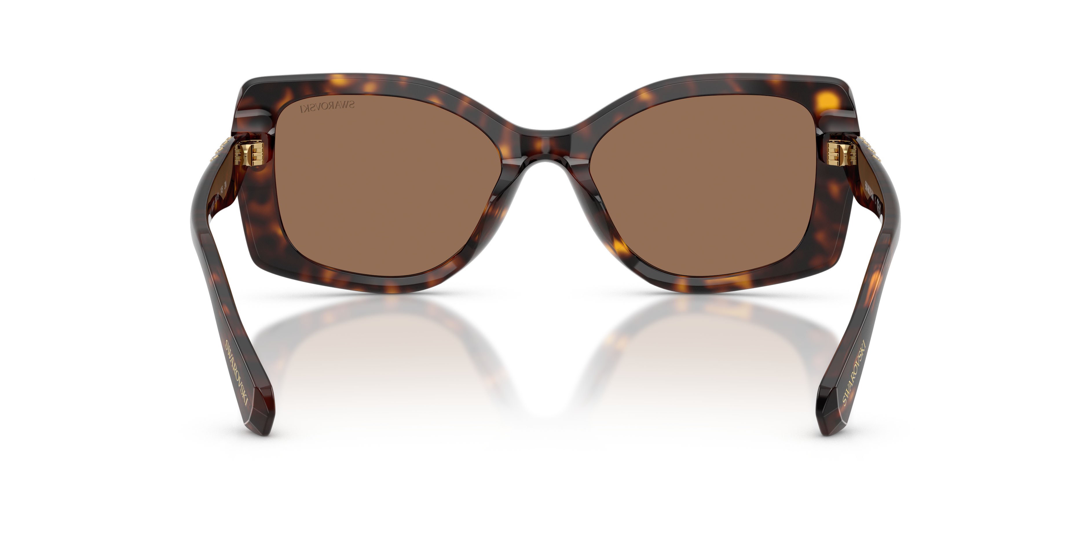 Sunglasses Swarovski SK 6058U (100273) color havana shape square lenses marrone scuro