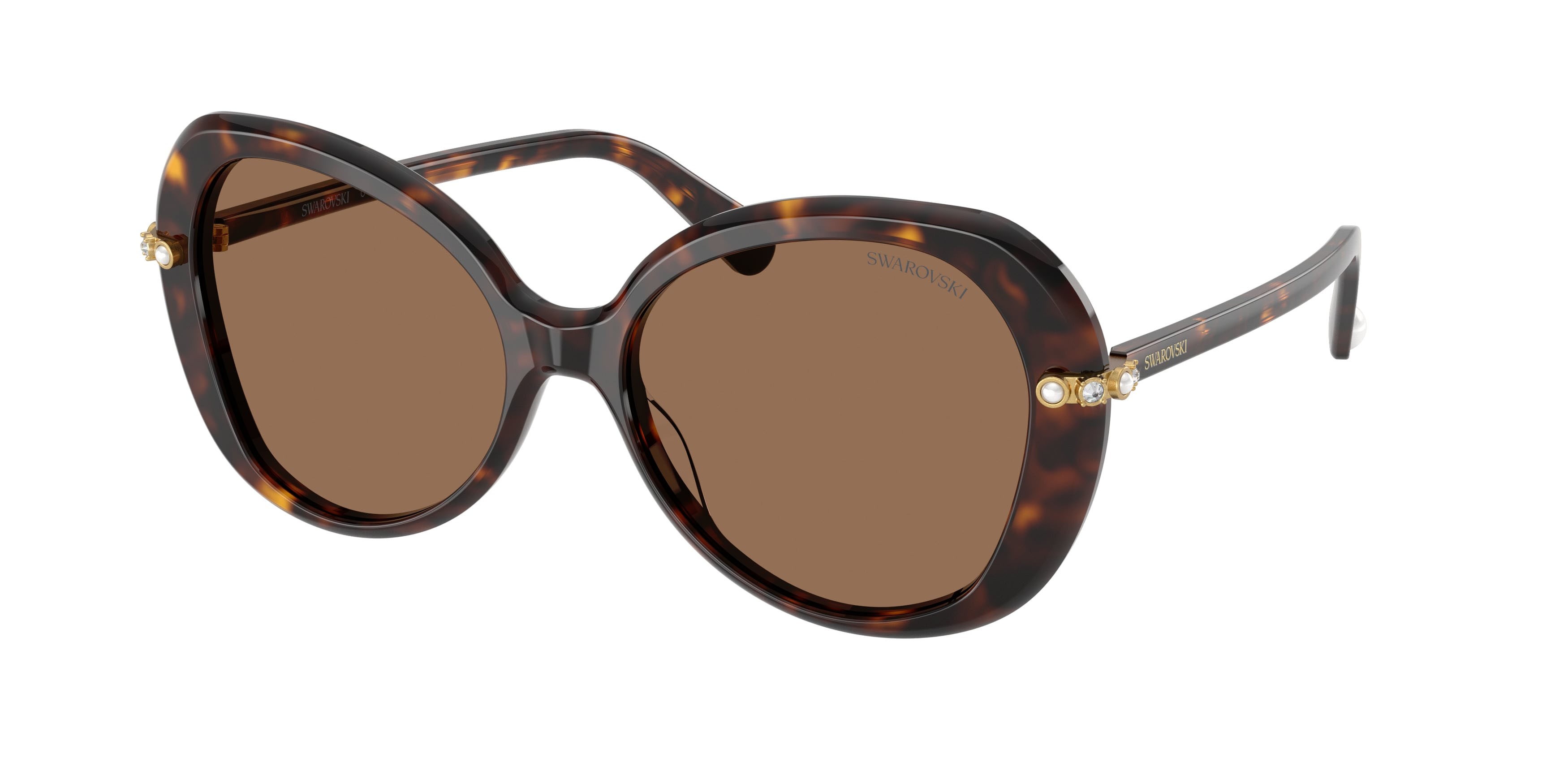 Sunglasses Swarovski SK 6059 (100273) color havana shape butterfly lenses marrone scuro
