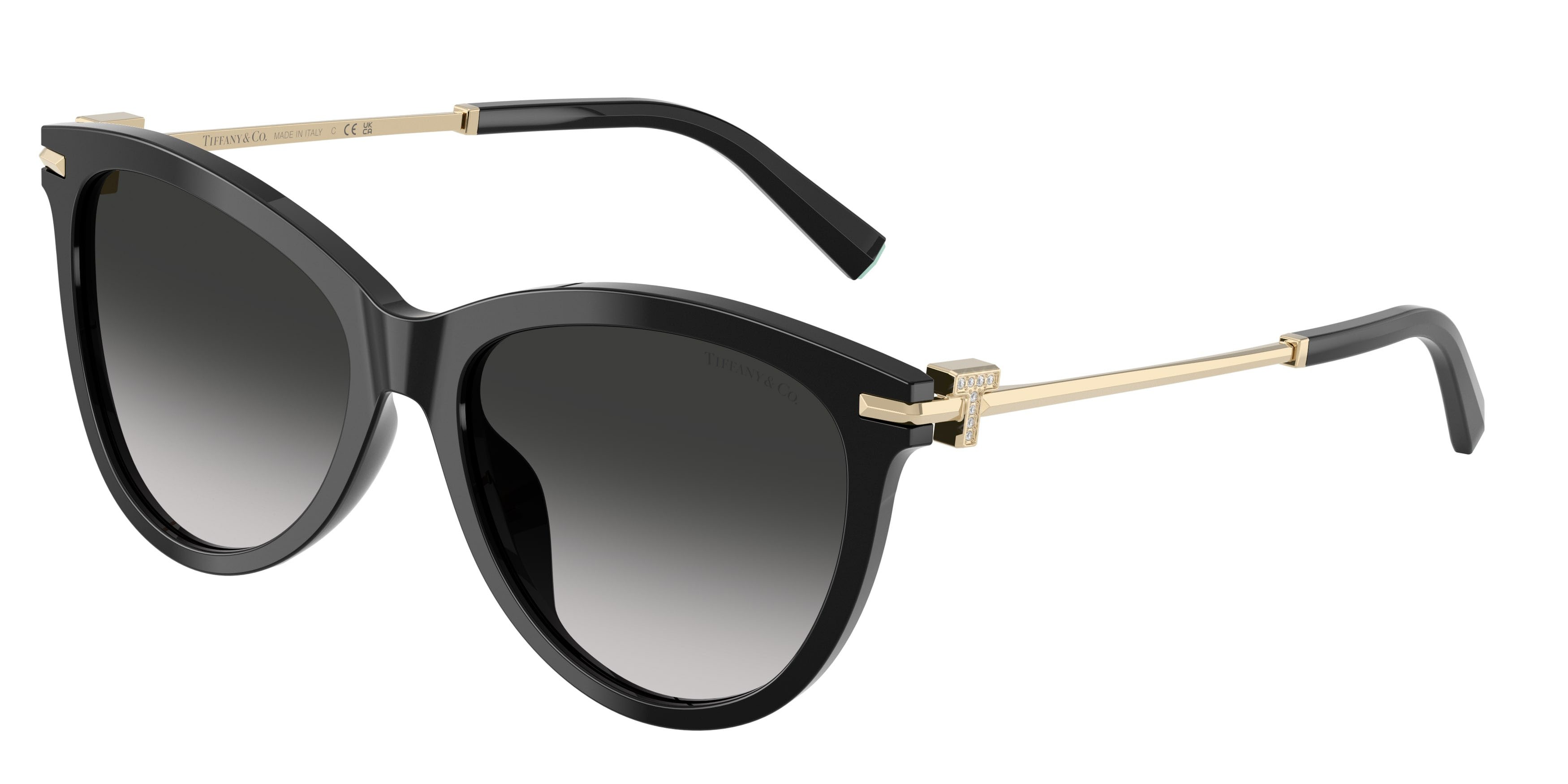 Sunglasses Tiffany TF 4258BU (80013C) color nero shape pantos lenses sfumato grigio