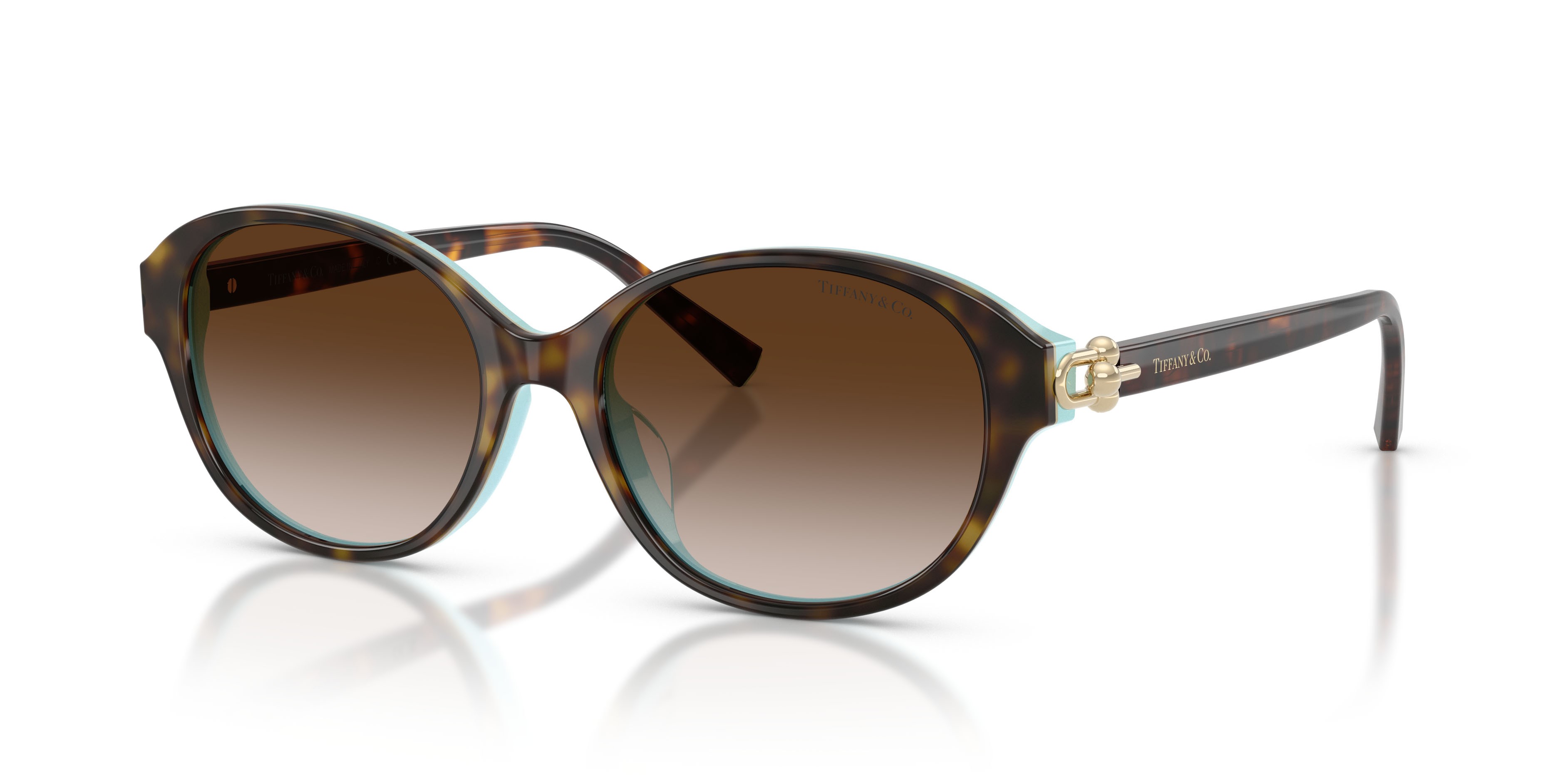 Occhiali da sole Tiffany TF 4263D (81343B) colore havana su blu tiffany forma rotondo lenti marrone sfumato