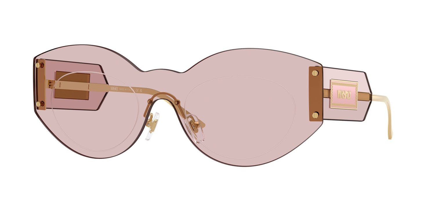 Sunglasses Versace VE 2276 (1002/5) color rosa shape irregular lenses rosa
