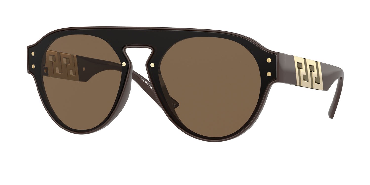 Sunglasses Versace VE 4420 (535673) color marrone shape pantos lenses marrone scuro