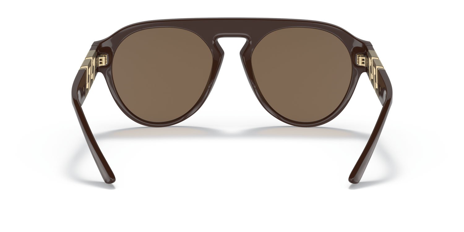 Sunglasses Versace VE 4420 (535673) color marrone shape pantos lenses marrone scuro