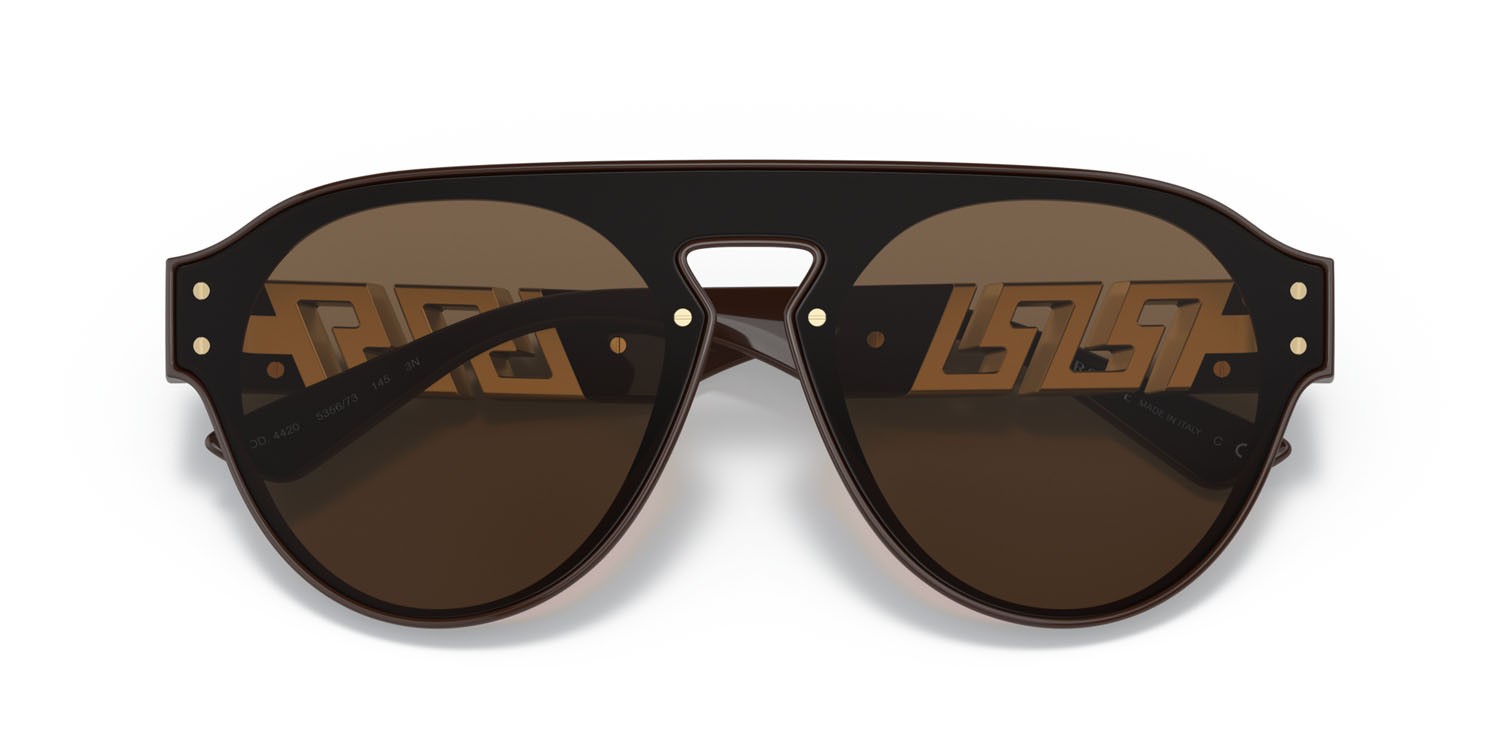 Sunglasses Versace VE 4420 (535673) color marrone shape pantos lenses marrone scuro