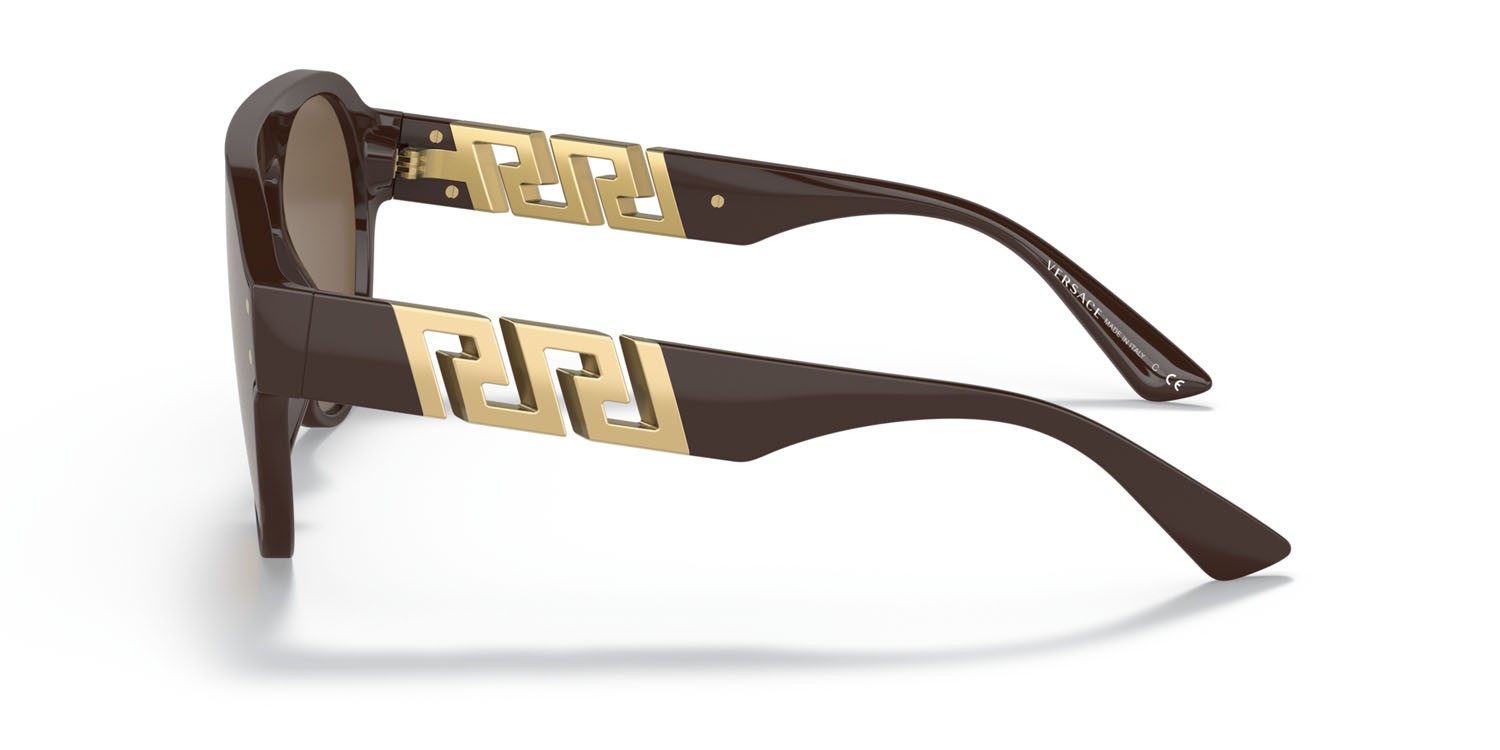 Sunglasses Versace VE 4420 (535673) color marrone shape pantos lenses marrone scuro