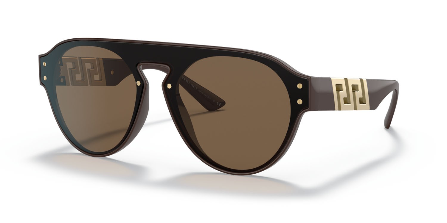 Sunglasses Versace VE 4420 (535673) color marrone shape pantos lenses marrone scuro