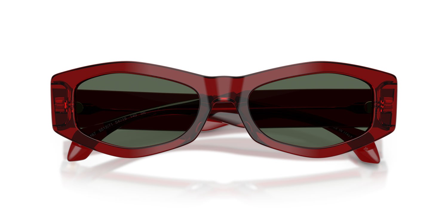 Occhiali da sole Versace VE 4487 (551271) colore bordeaux trasparente forma irregolare lenti verde scuro