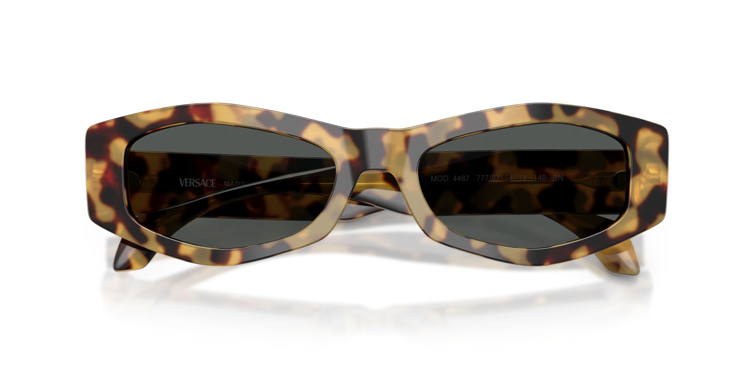 Occhiali da sole Versace VE 4487 (777/87) colore avana giallo marrone forma irregolare lenti grigio scuro