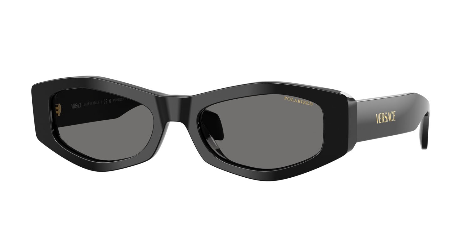 Occhiali da sole Versace VE 4487 (GB1/81) colore nero forma irregolare lenti polar grigio scuro