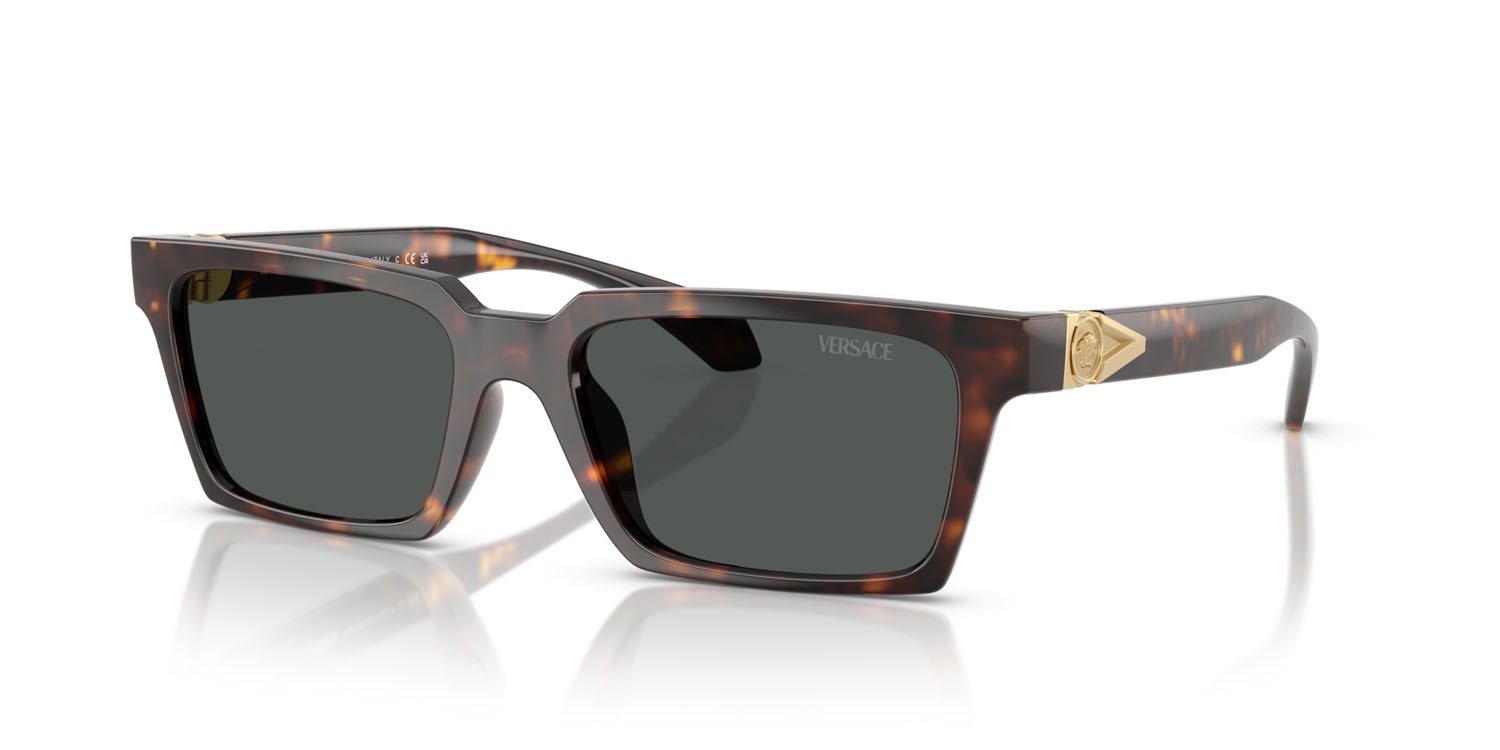 Sunglasses Versace VE 4490U (108/87) color havana shape rectangle lenses grigio scuro