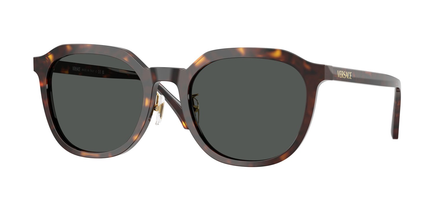 Occhiali da sole Versace VE 4493D (108/87) colore havana scuro forma pantos lenti grigio scuro