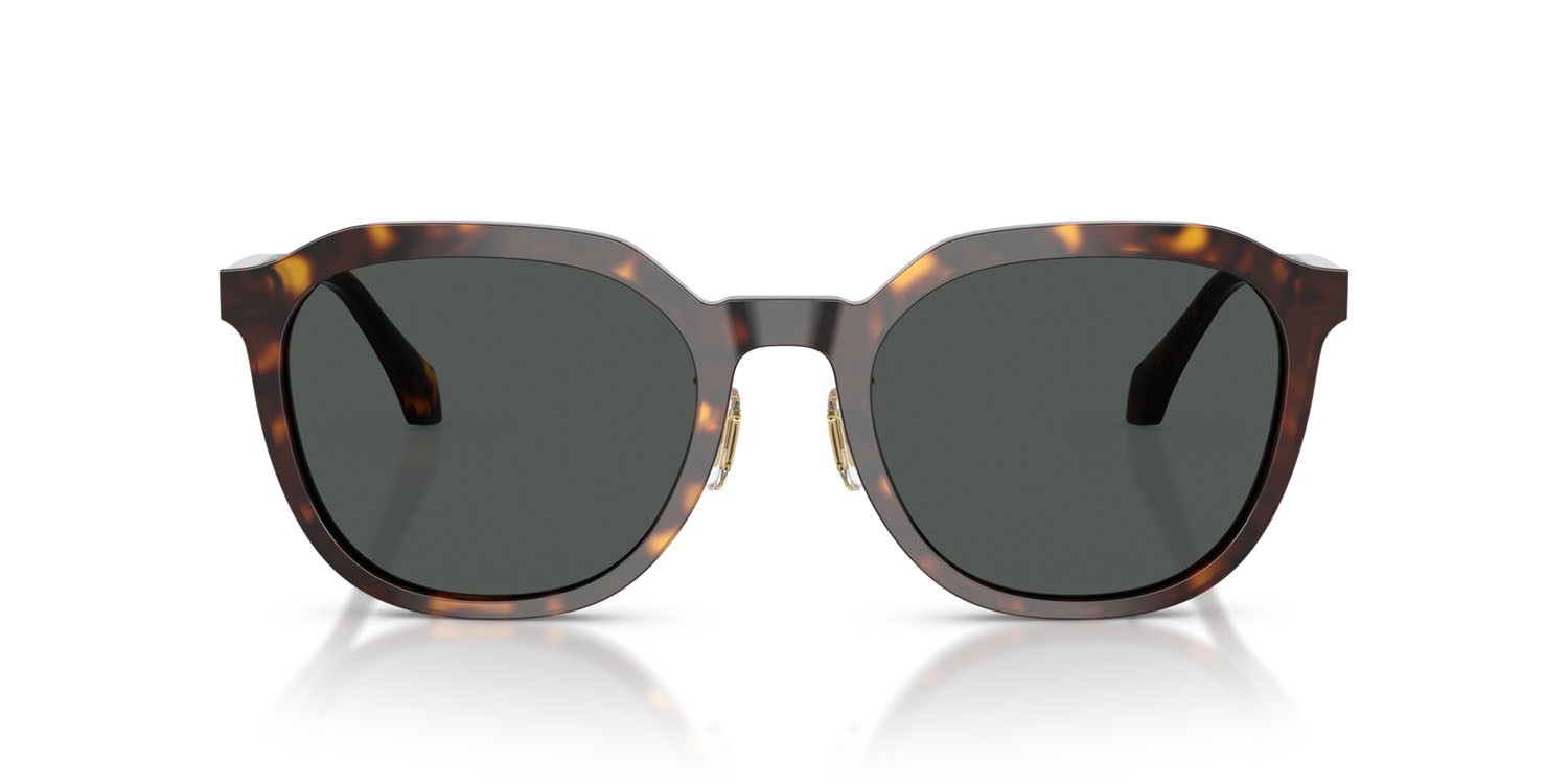 Occhiali da sole Versace VE 4493D (108/87) colore havana scuro forma pantos lenti grigio scuro