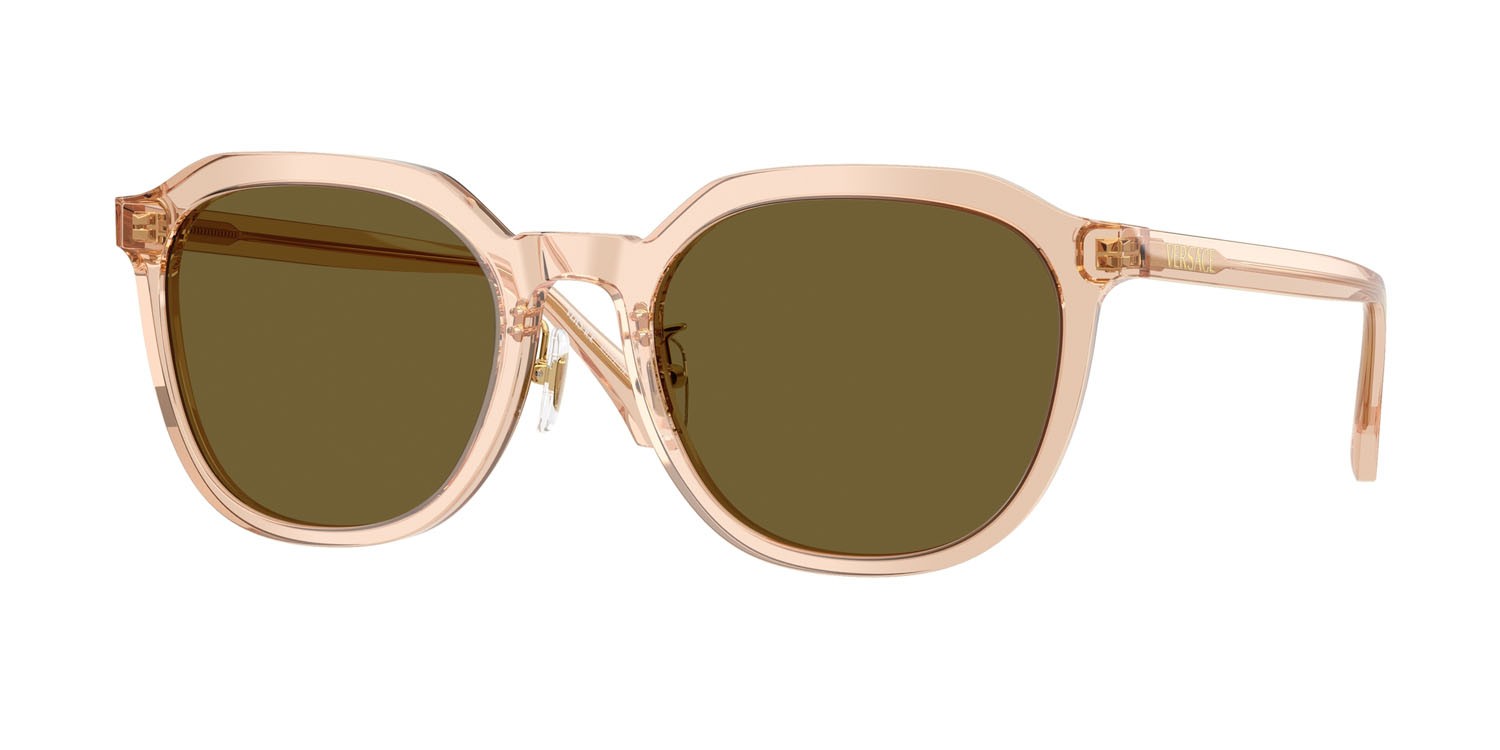 Occhiali da sole Versace VE 4493D (551883) colore marrone chiaro trasparente forma pantos lenti marrone scuro