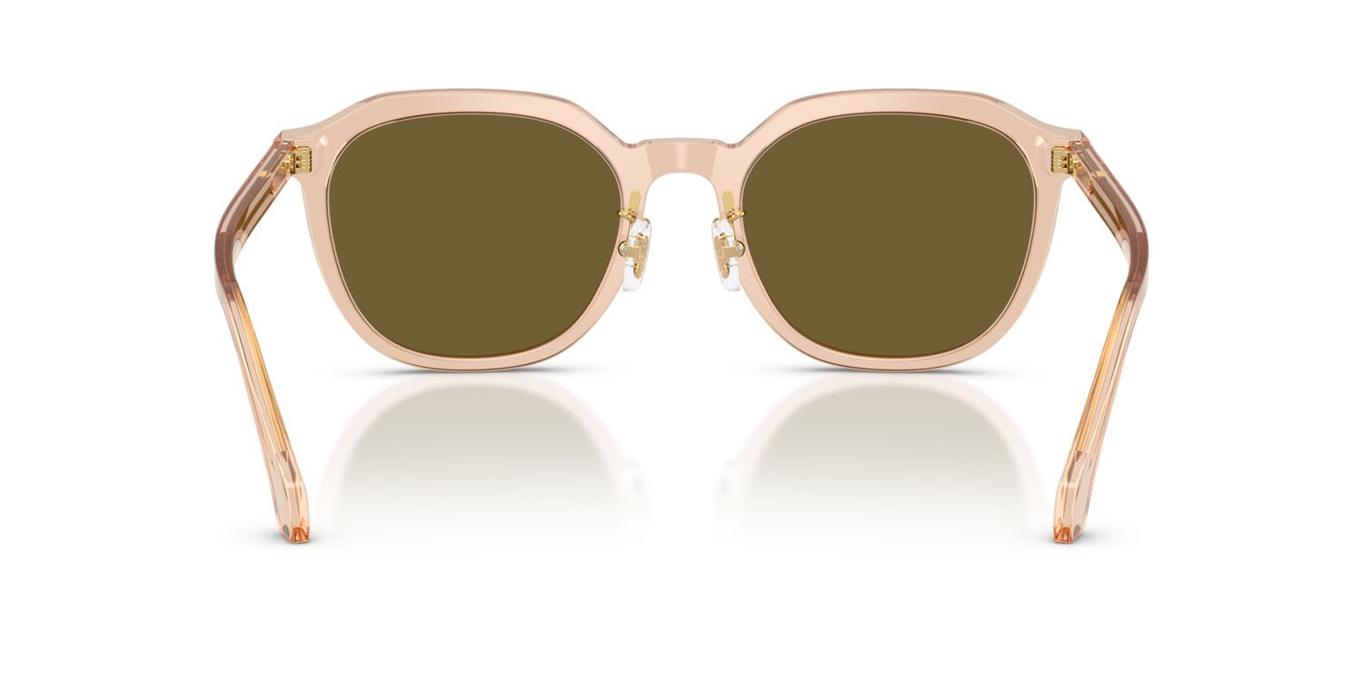 Occhiali da sole Versace VE 4493D (551883) colore marrone chiaro trasparente forma pantos lenti marrone scuro