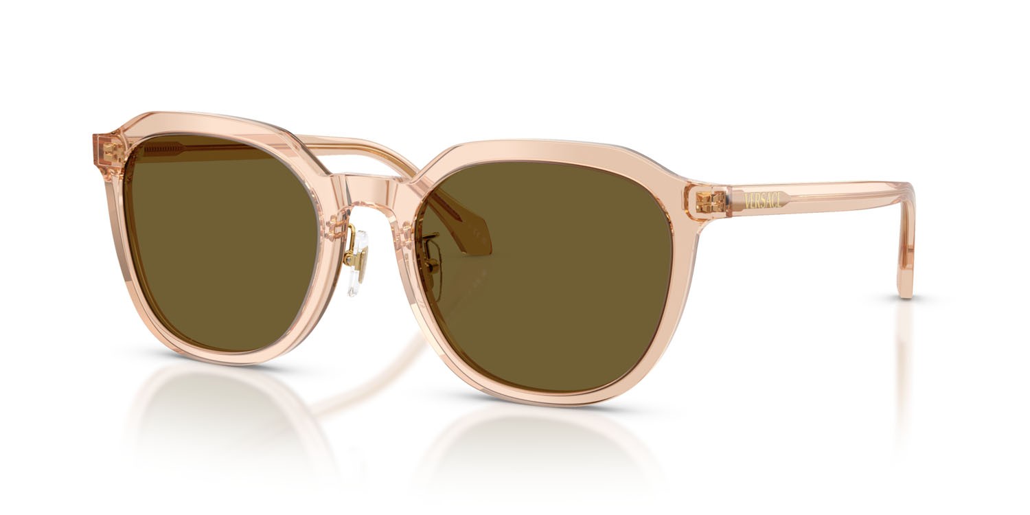 Occhiali da sole Versace VE 4493D (551883) colore marrone chiaro trasparente forma pantos lenti marrone scuro