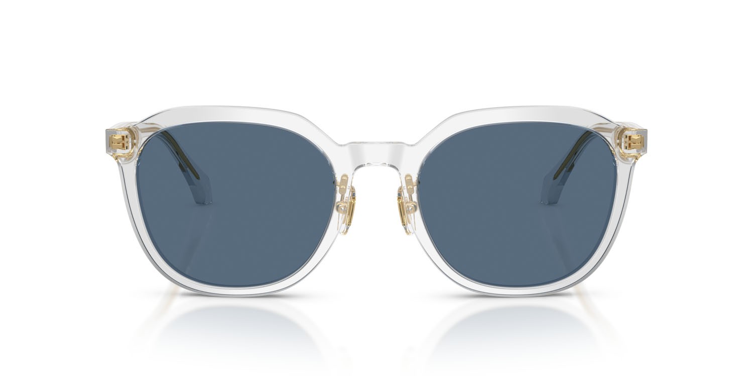 Occhiali da sole Versace VE 4493D (551971) colore grigio trasparente forma pantos lenti blu scuro