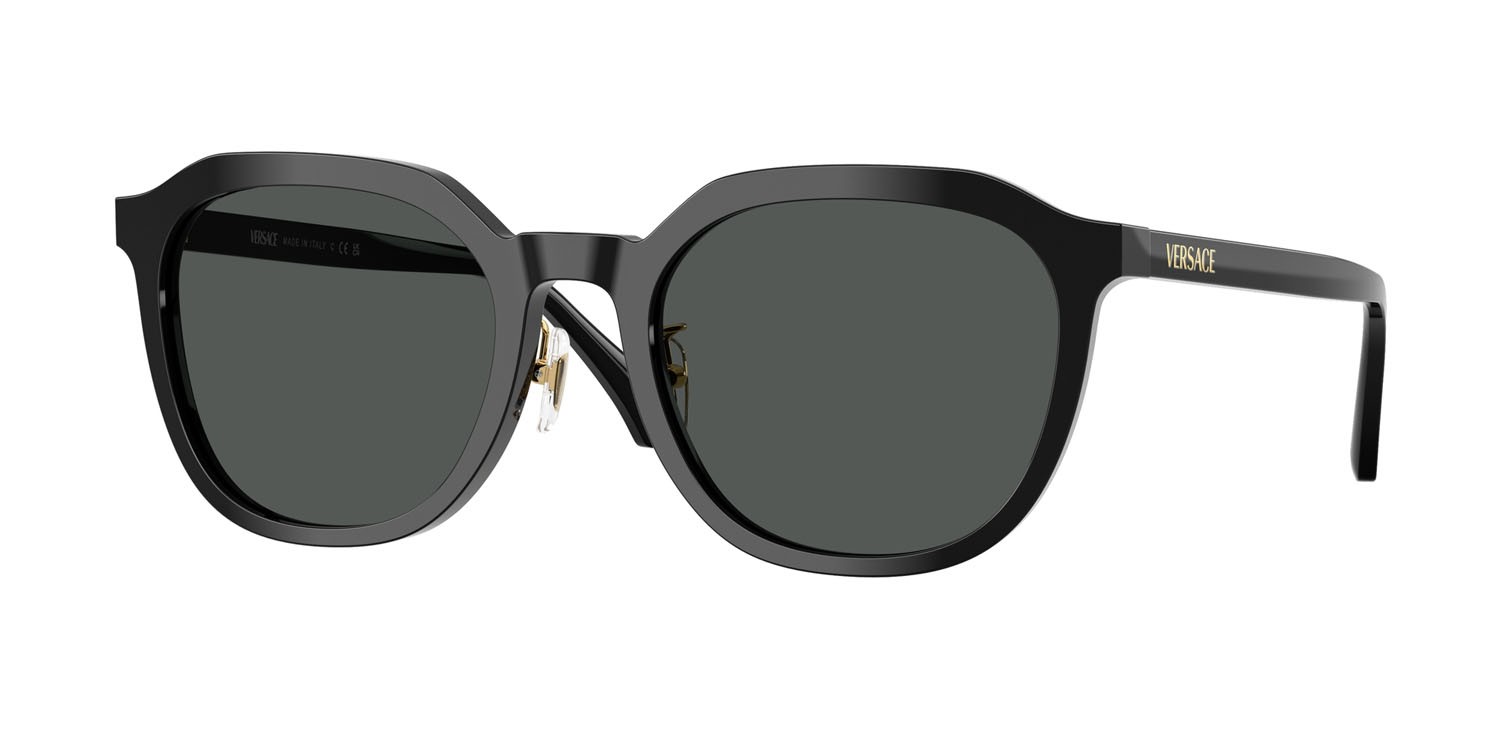 Occhiali da sole Versace VE 4493D (GB1/87) colore nero forma pantos lenti grigio scuro