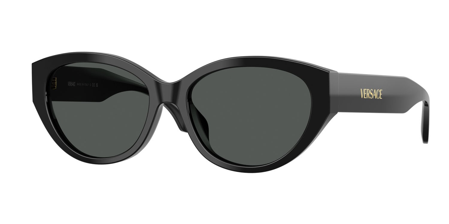 Occhiali da sole Versace VE 4495D (GB1/87) colore nero forma ovale lenti grigio scuro