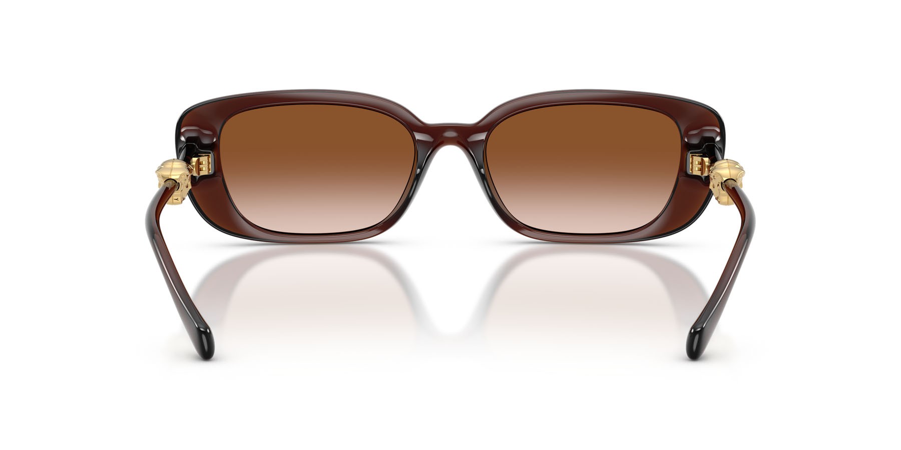 Occhiali da sole Versace VE 4504D (533213) colore marrone trasparente forma quadrato lenti marrone sfumato
