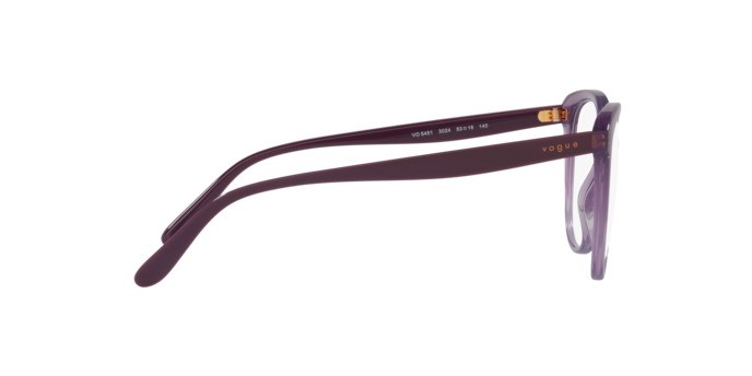 Eyeglasses Vogue VO 5451 (3024) color viola trasparente shape pantos lenses lente demo